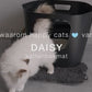 DAISY - Microvezel kattenbakmat