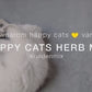 I LOVE HAPPY CATS BUIDEL - Navulbaar